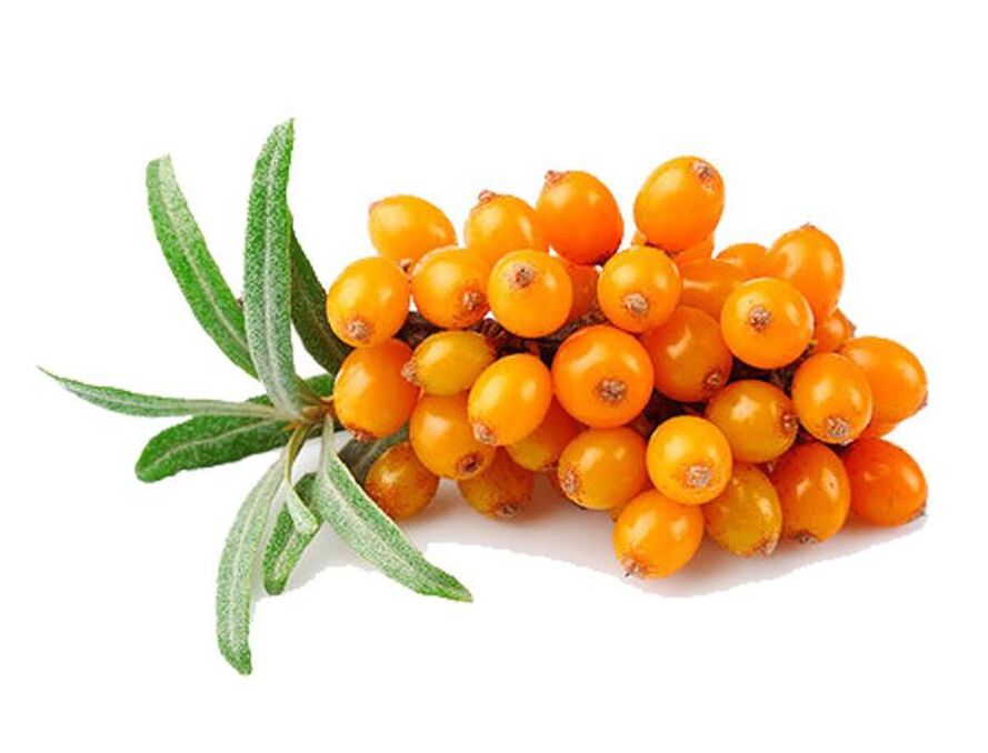 Sea buckthorn, which normalizes the function of the prostate in prostatitis